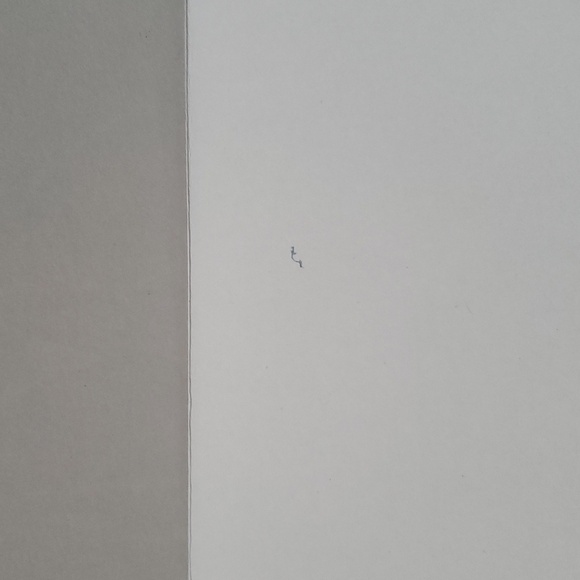 ☕ Nature Greeting Cards set of 5 - Picture 9 of 12